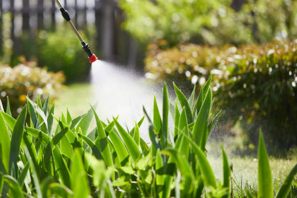 24/7 Emergency Fumigation Services experts in Goldenrod, FL